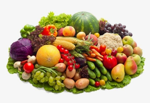 垃圾分類后，濕垃圾怎么處理好?